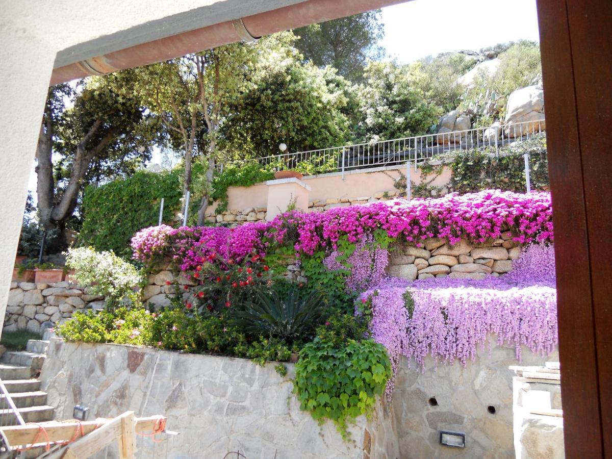 Borgo Punta Aparthotel 4*