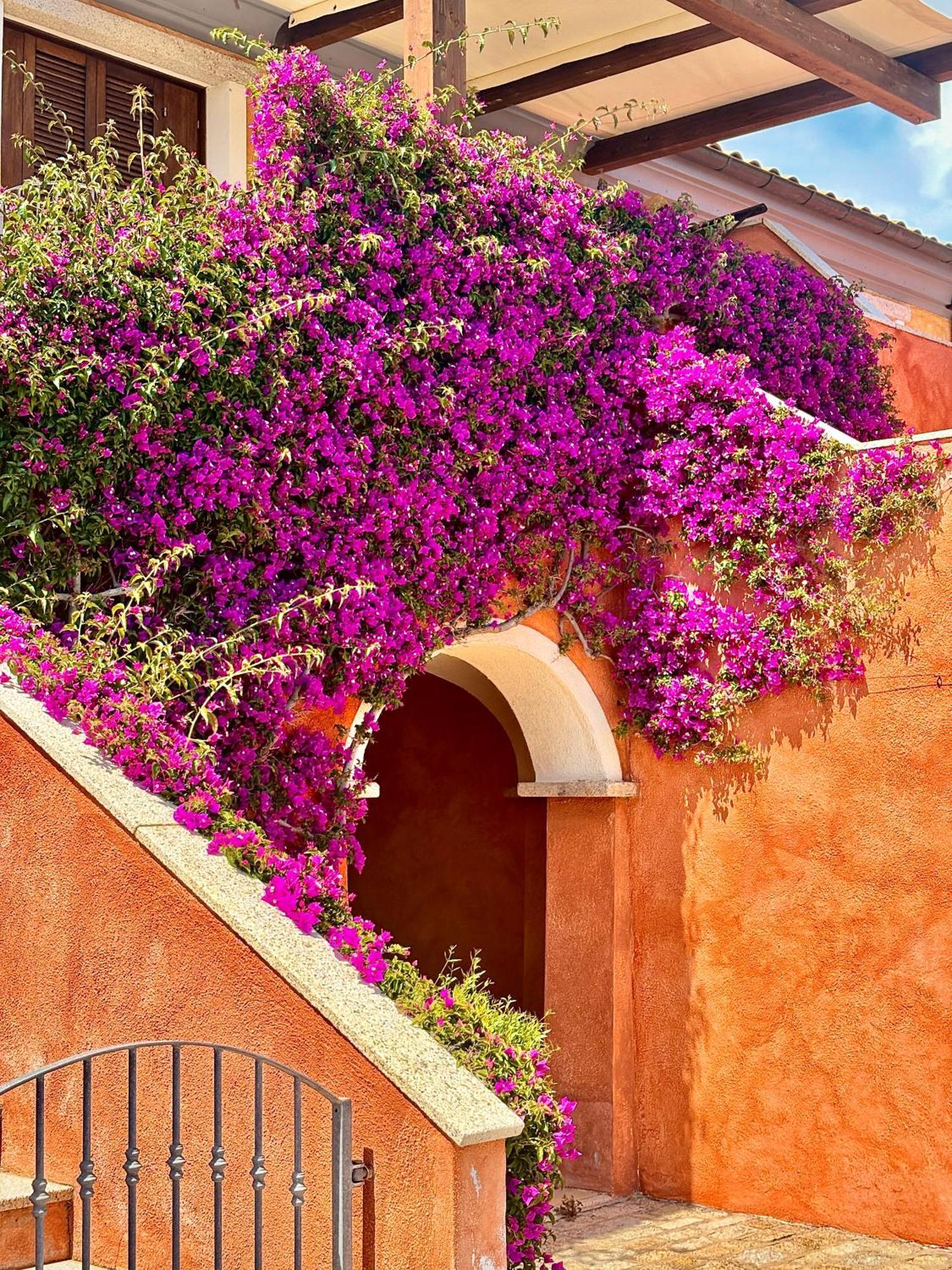 Aparthotel Borgo Punta